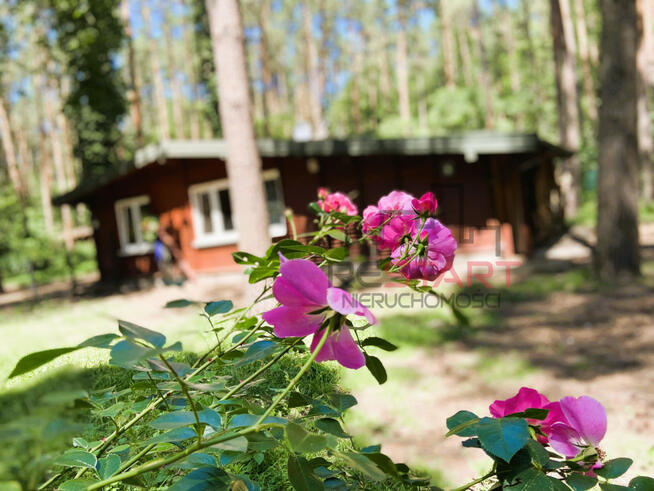 Dom Adamów-Wieś gm. Radziejowice,