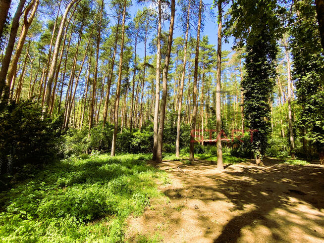 Dom Adamów-Wieś gm. Radziejowice,