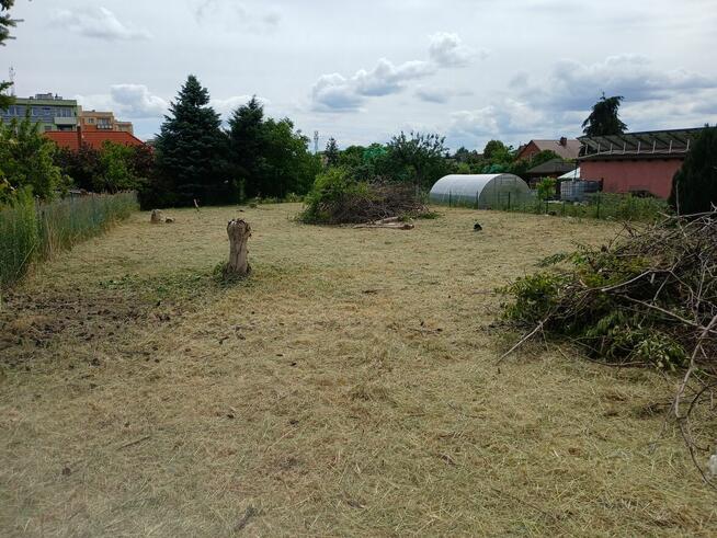 Skosze trawnik, wyczyszcze działkę