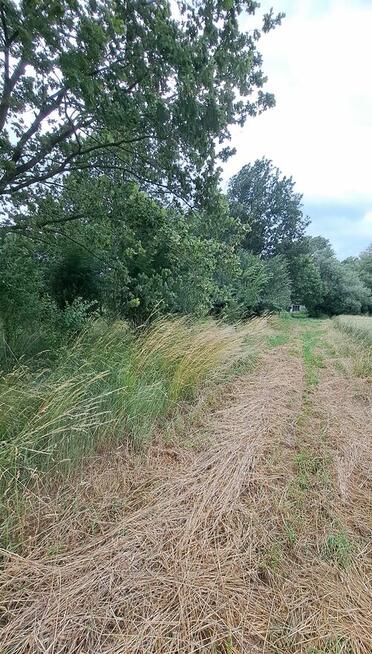 Działka siedliskowa budowlana, pod produkcję rolną
