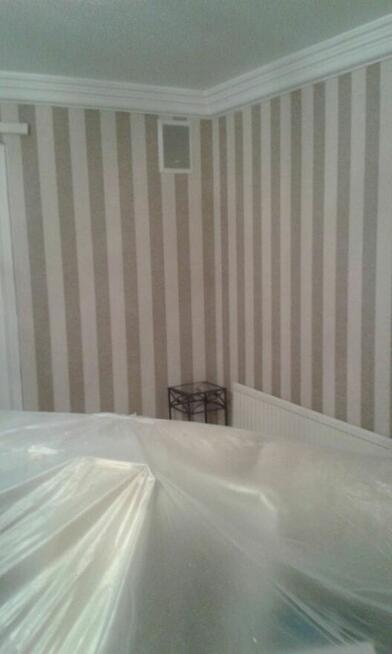 wykonam prace malarskie/tapetowanie