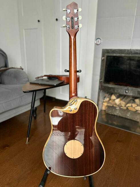 L.R. Baggs AEG-1 Acoustic Electric Guitar