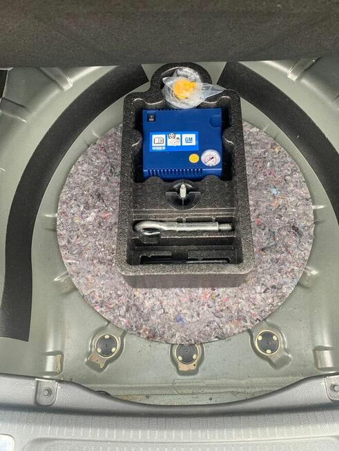 Sprzedam Opla Insignie!