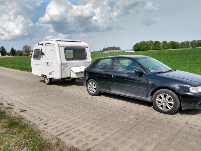 przyczepa kepigowa niewiadow 126