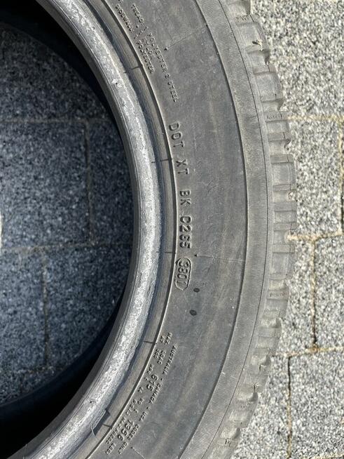 Opona ARTIC-2 CEAT zimowa 205/55 R16 91H