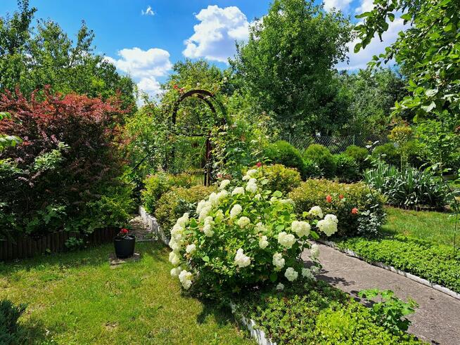 Działka rekreacyjna ROD Radość Semafor Zabrze