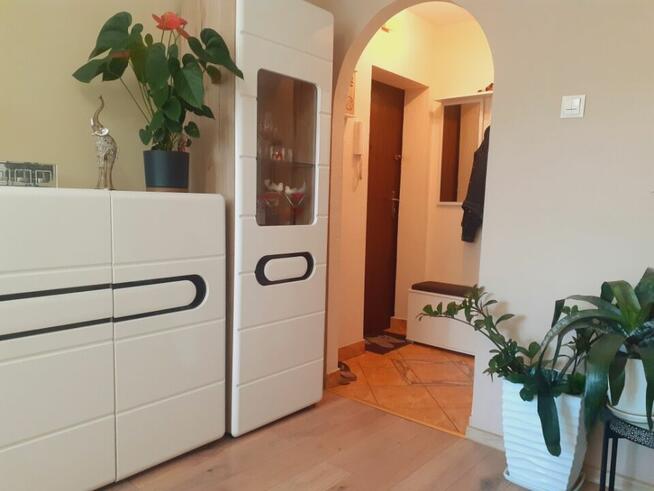 Od zaraz mieszkanie 2 pok w bloku ul. Moniuszki