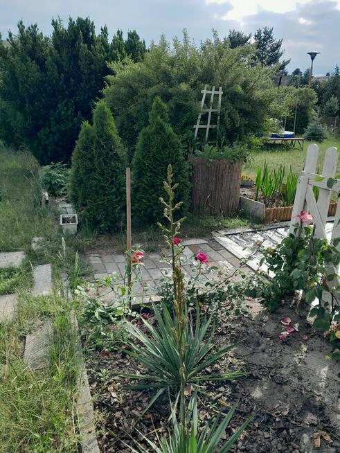 Działka ROD 475 m kw