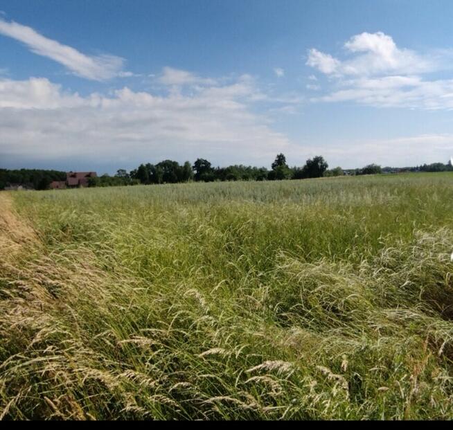 Sprzedam atrakcyjna działke budowlaną,