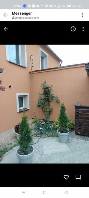 Elewacje ,100zl metr