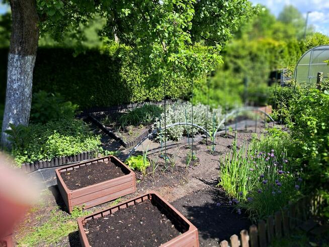 Działka rekreacyjna ROD Radość Semafor Zabrze