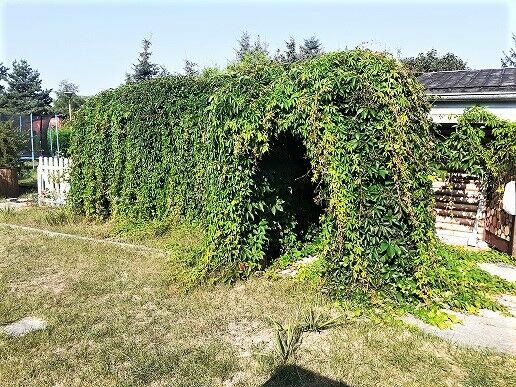 Działka ROD 475 m kw