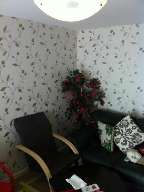 wykonam prace malarskie/tapetowanie