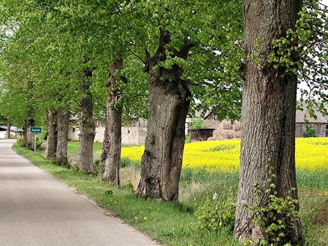 Wynajem na wakacje Mazury, Ełk,Sypitki