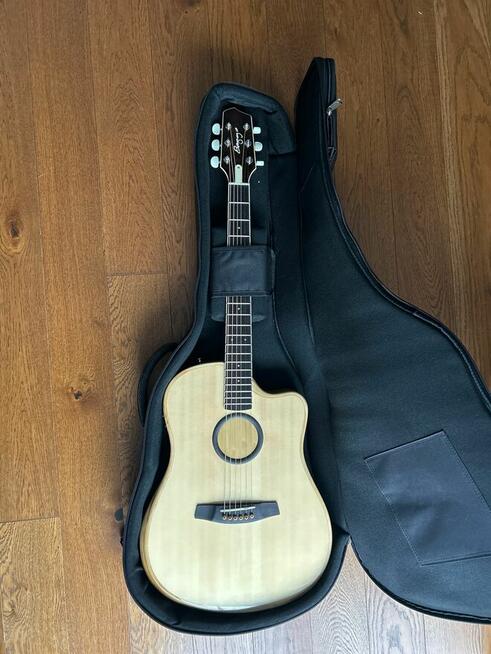 L.R. Baggs AEG-1 Acoustic Electric Guitar