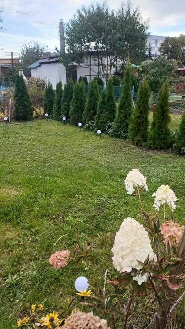Sprzedam działkę ogrodową w Polkowicach na Relaksie