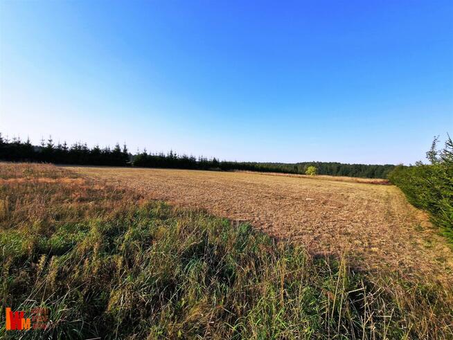 Działka Sypitki gm. Kalinowo