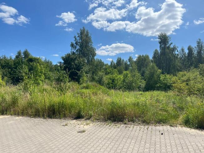 Działka Siedlce, ul. Różana