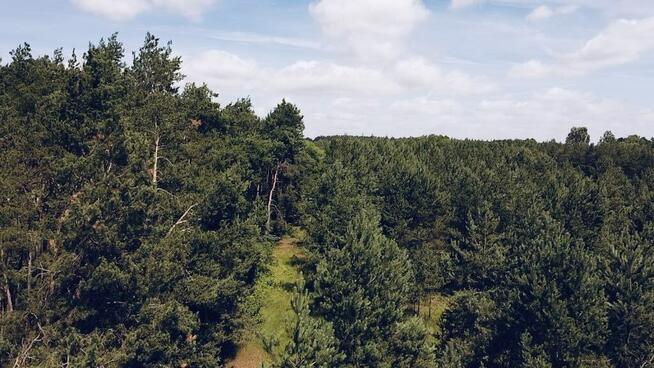 Malownicze działki z terenami zielonymi
