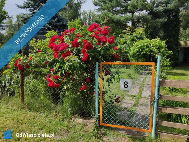 Działka Rekreacyjna ROD 500m2 Paluch 1 Włochy, Warszawa