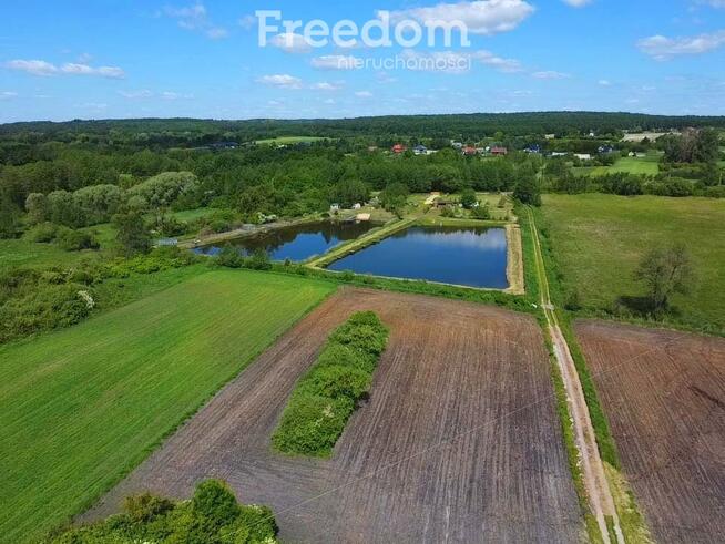 Siedlisko pod Chełmem z domem murowanym, 10 ha