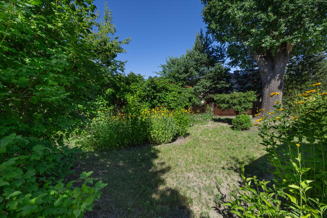 ✅Zobacz działka budowlana z potencjałem✅