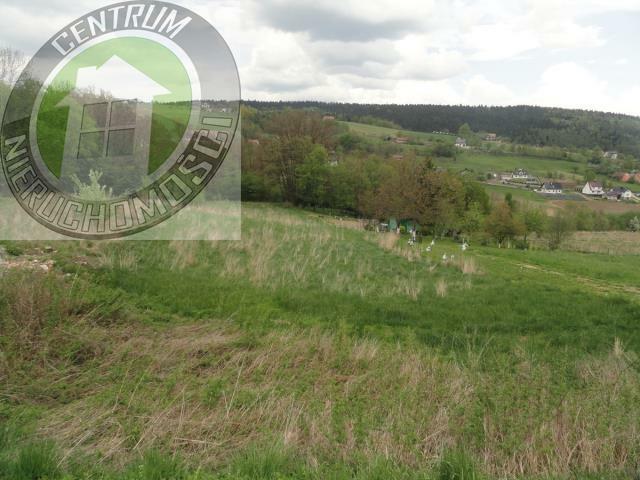 Działka budowlana Biczyce Górne gm. Chełmiec