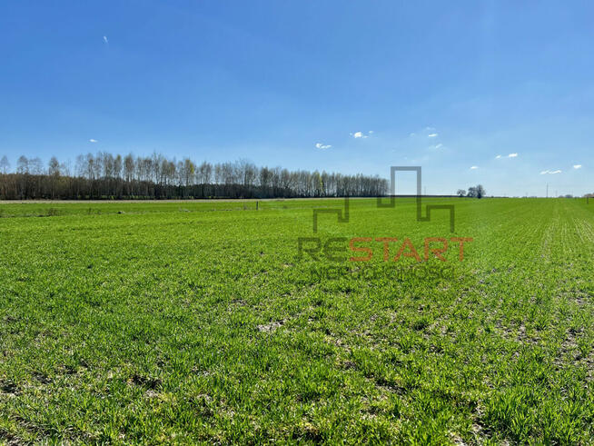 Działka budowlana Korabiewice gm. Puszcza Mariańska,