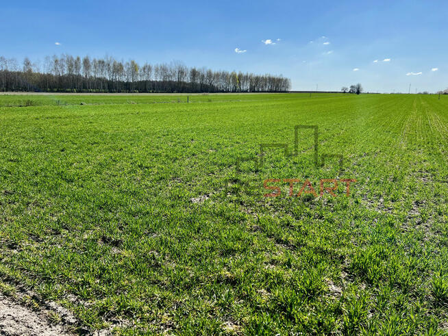 Działka budowlana Korabiewice gm. Puszcza Mariańska,