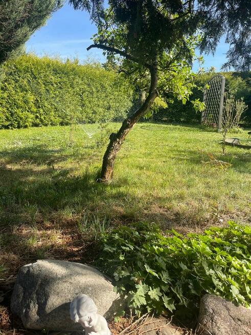 sprzedam działkę ROD