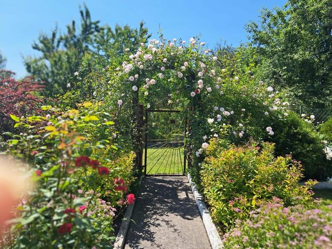 Działka rekreacyjna ROD Radość Semafor Zabrze