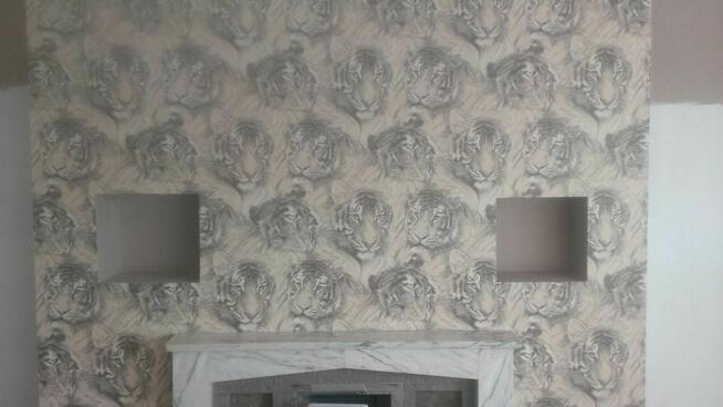 wykonam prace malarskie/tapetowanie