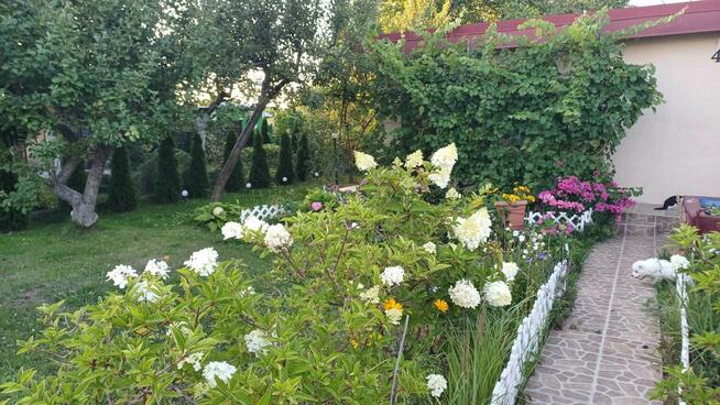 Sprzedam działkę ogrodową w Polkowicach na Relaksie