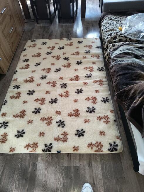 Kołdra Merynos z wełny owczej