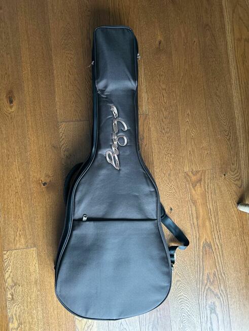 L.R. Baggs AEG-1 Acoustic Electric Guitar