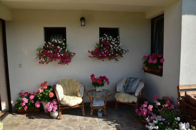 Dom Głogoczów 220 m2, 25a działki z uroczym ogrodem,