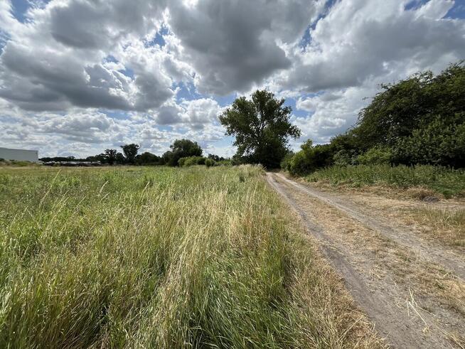 Na sprzedaż działka inwestycyjna w Lubinie