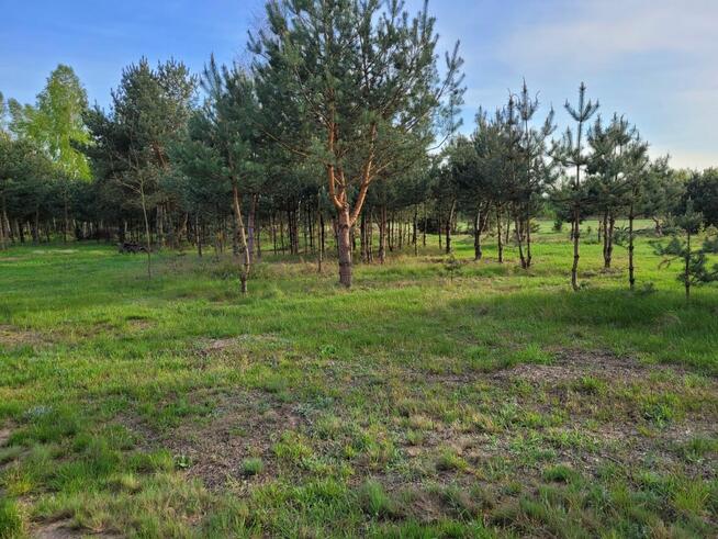 Działki budowlne/rekreacyjne