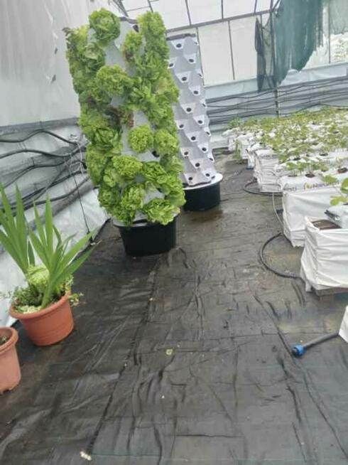 Sprzedam wieże Hydroponiczne