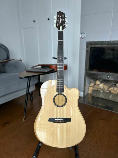 L.R. Baggs AEG-1 Acoustic Electric Guitar
