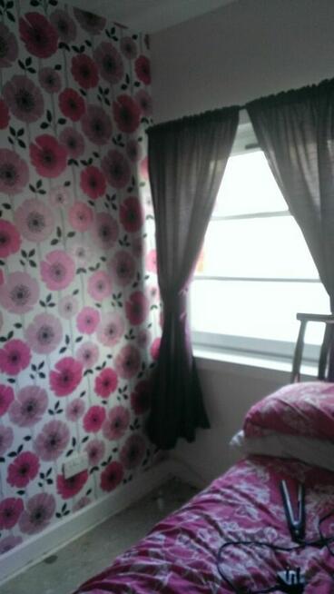 wykonam prace malarskie/tapetowanie