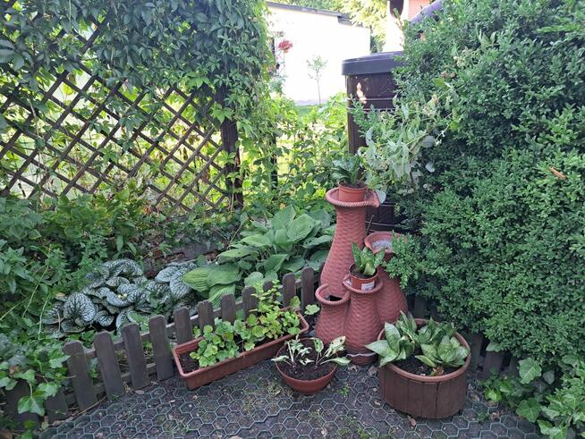 Działka rekreacyjna ROD Radość Semafor Zabrze