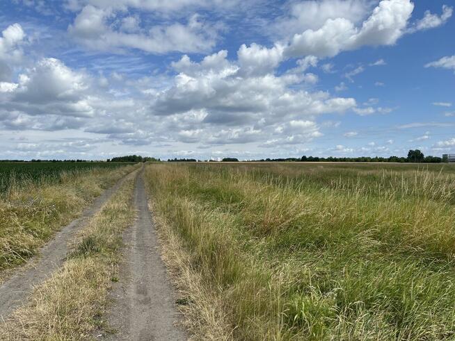 Na sprzedaż działka inwestycyjna w Lubinie