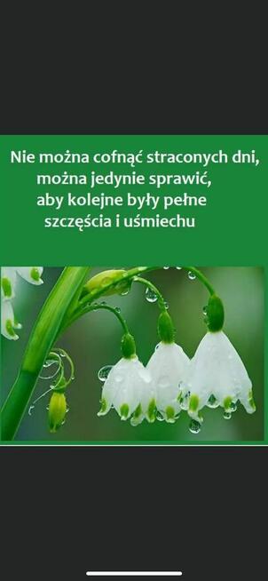 W pełni lata
