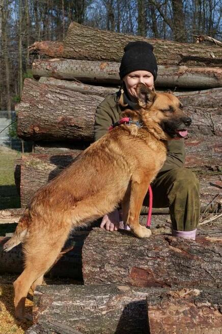 Goka szuka domu -schronisko Zgierz-aktualne