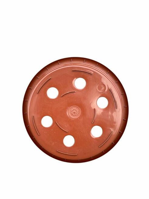 Misa misy doniczka 21 cm na chryzantemy