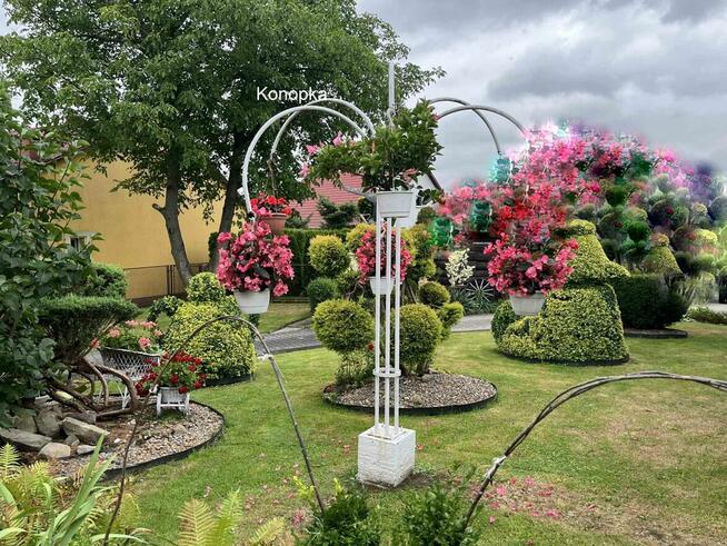 Gotowy do zamieszkania, z pięknym ogrodem i dwoma tarasami