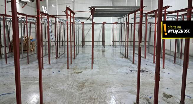 Lokal użytkowy Kielce, Wiejska