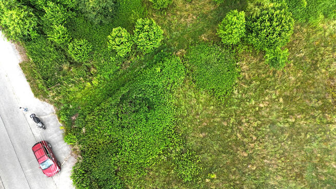 Cicha działka Rościsławice (blisko Oborniki, Uraz)