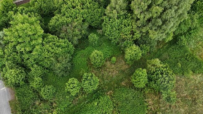 Cicha działka Rościsławice (blisko Oborniki, Uraz)